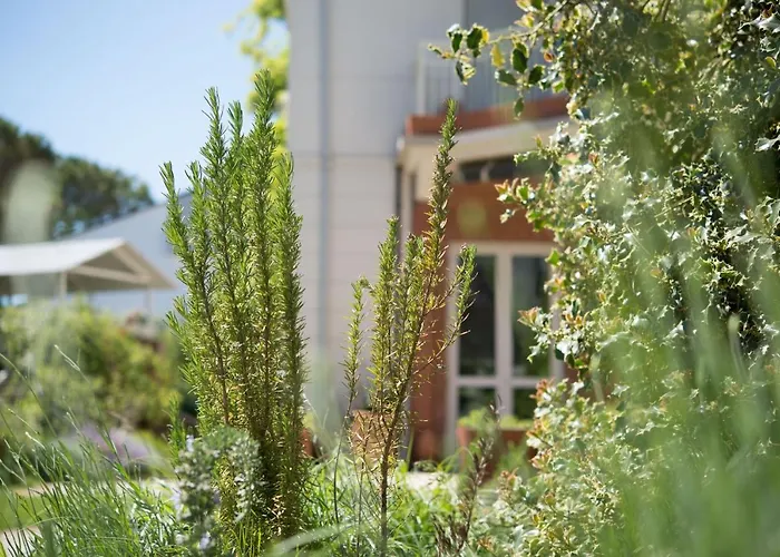 Hotel Arizona Milano Marittima